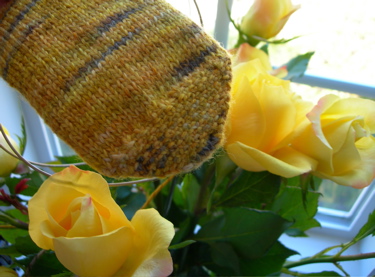 Yellow roses and sock.