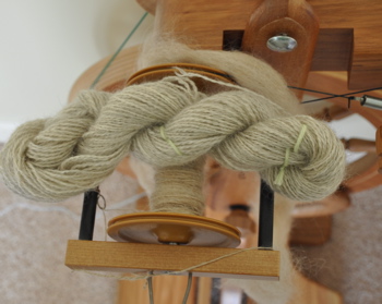 Skein and bobbin.