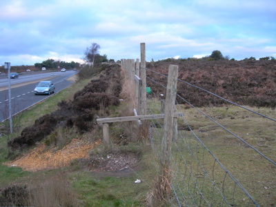 New Forest stile.